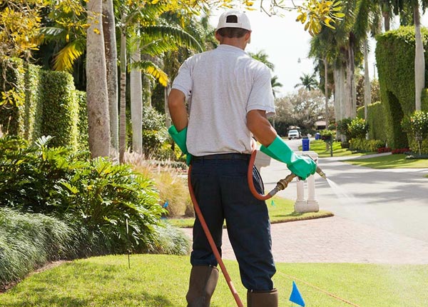 About Millinocket ME Pest Control Pros